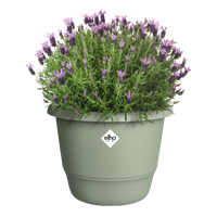 amiga round 25cm thyme green